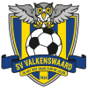 s.v. Valkenswaard